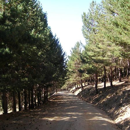 Hostal Rural Poqueira Capileira Buitenkant foto