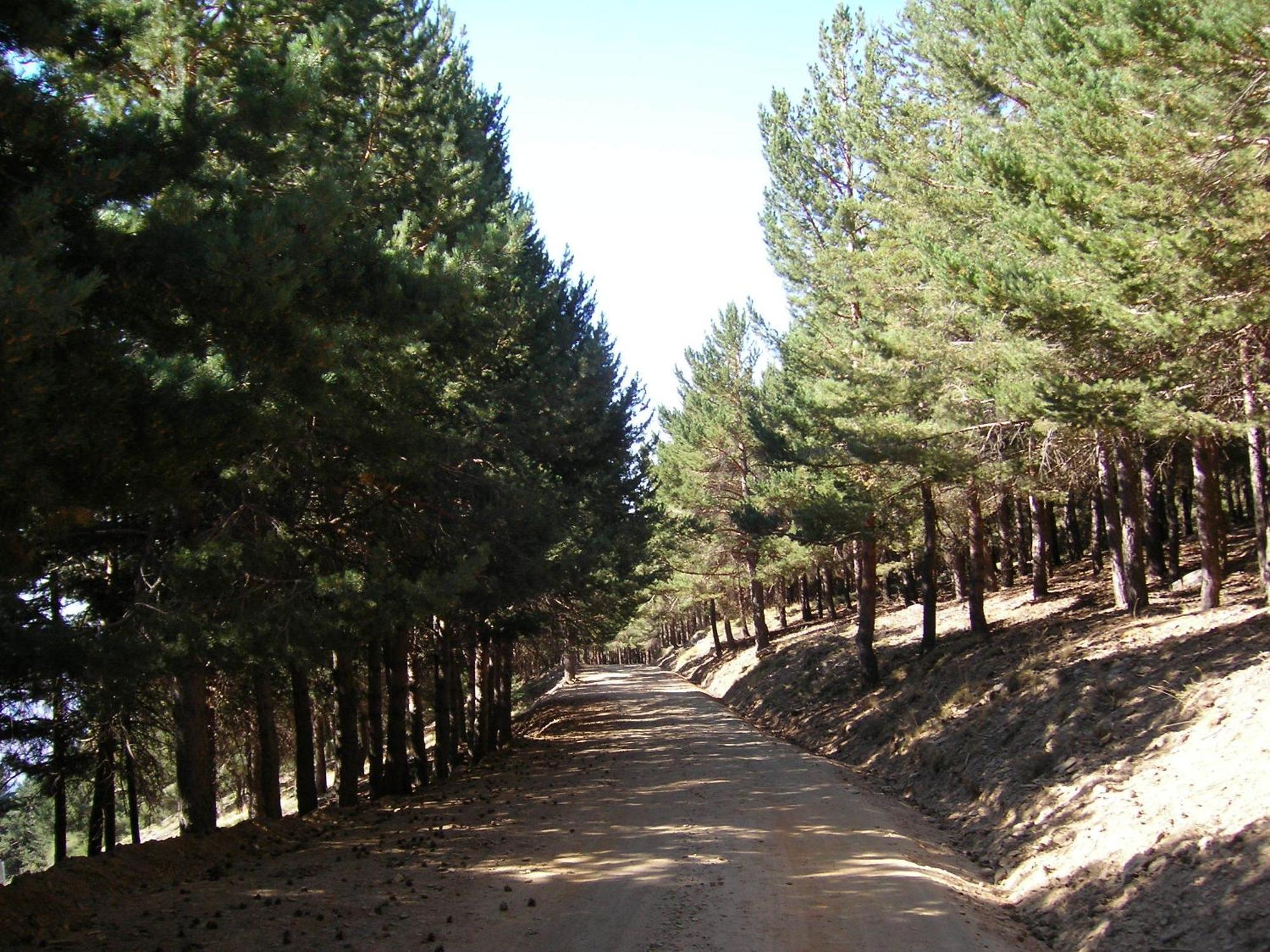 Hostal Rural Poqueira Capileira Buitenkant foto
